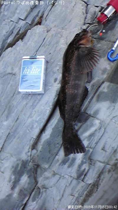 �����ʥ�