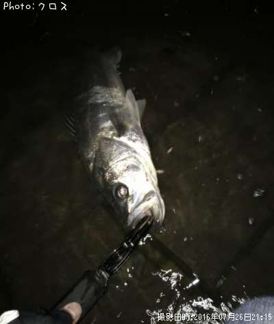 �����Х�