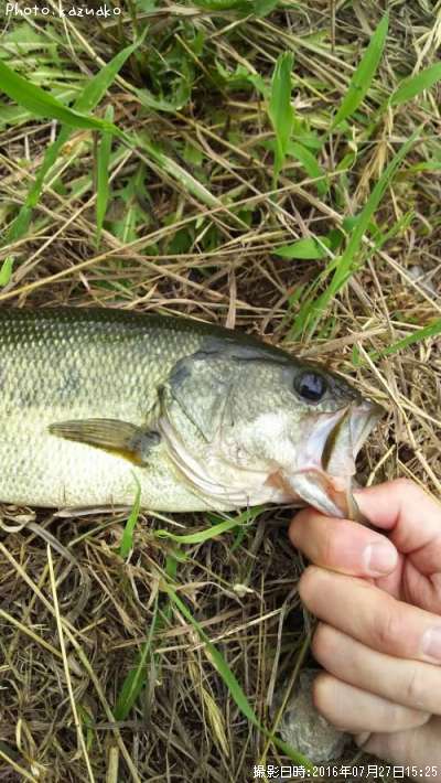 �֥�å��Х�