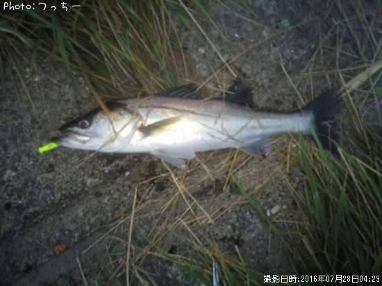 �����Х�