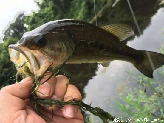 �֥�å��Х�