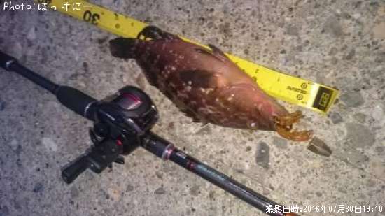 �����ϥ�