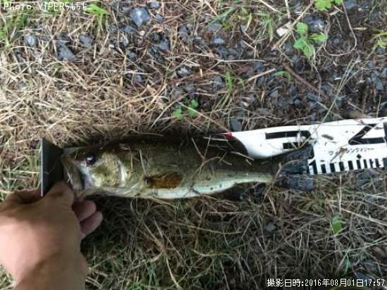 �֥�å��Х�