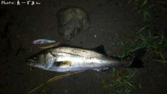 �����Х�