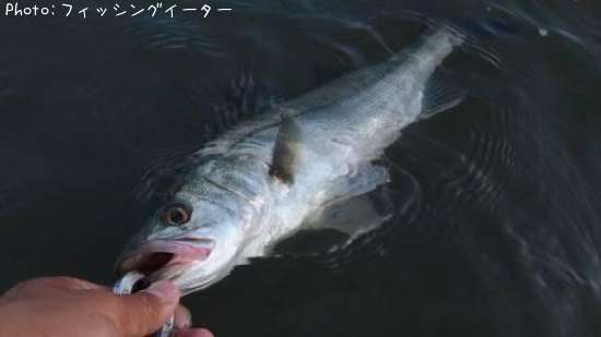 �����Х�