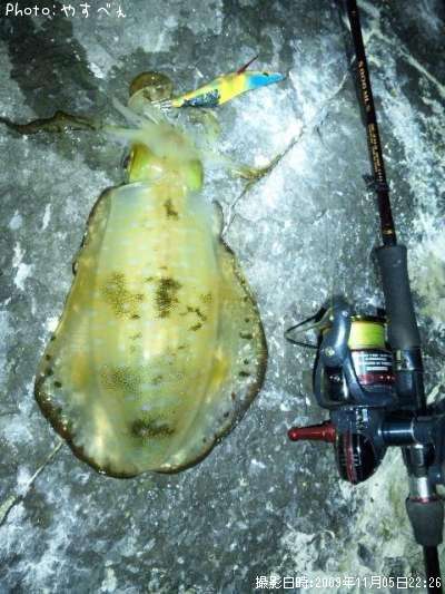 �����ꥤ��