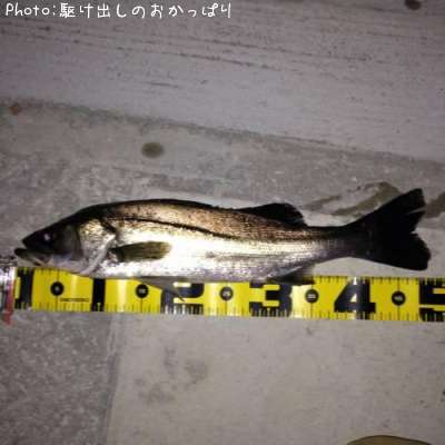 �����Х�