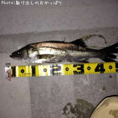 �����Х�