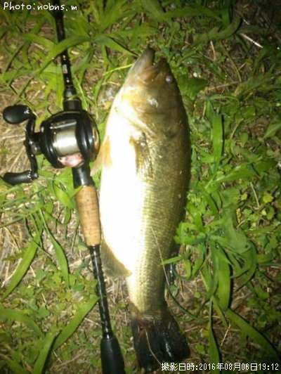 �֥�å��Х�