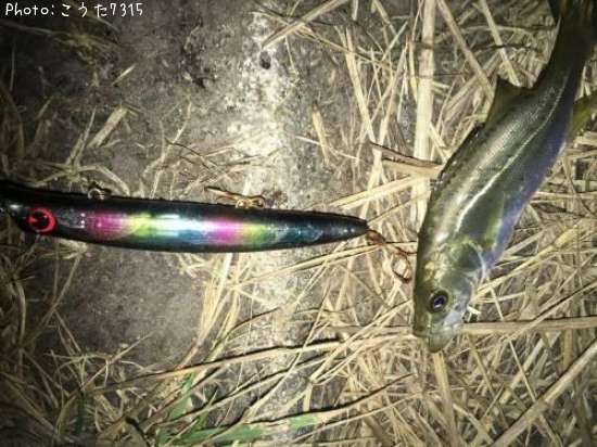 �����Х�