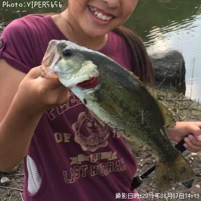 �֥�å��Х�