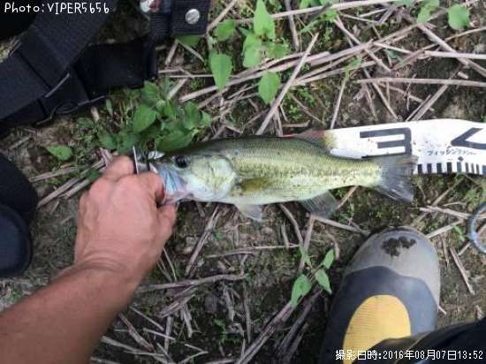 �֥�å��Х�