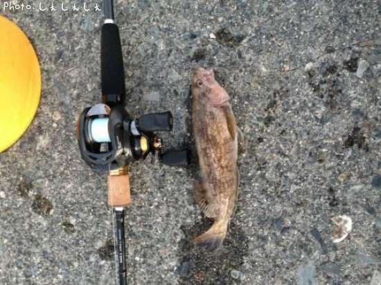 �����ʥ�