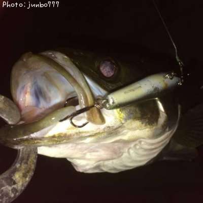 �����Х�