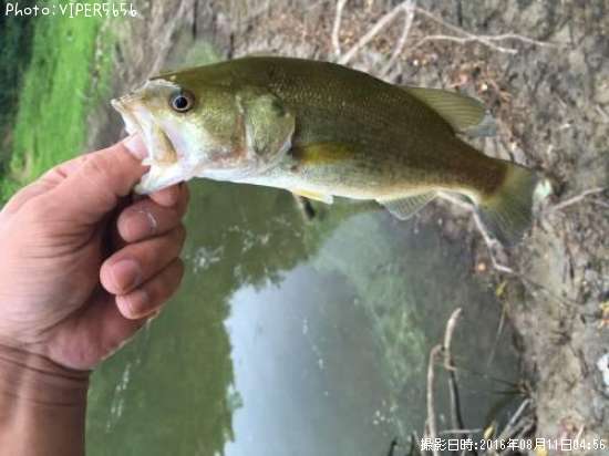 �֥�å��Х�