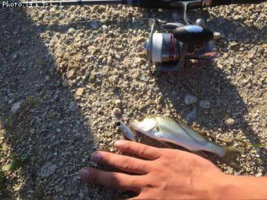 �����Х�