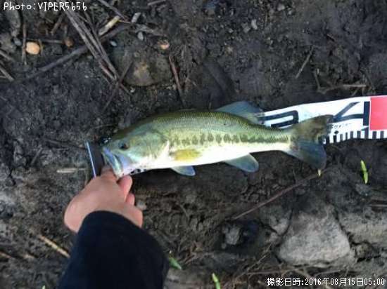 �֥�å��Х�