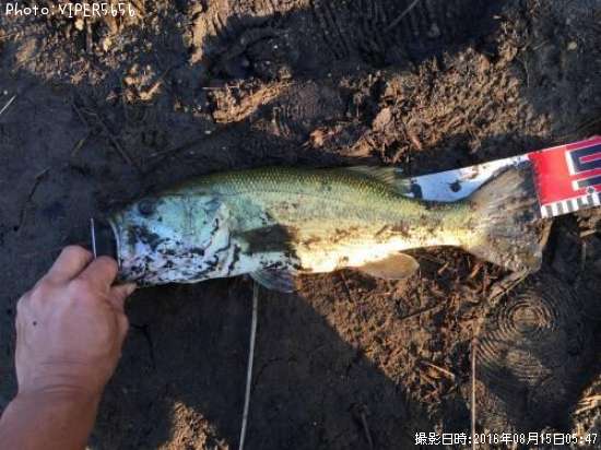 �֥�å��Х�