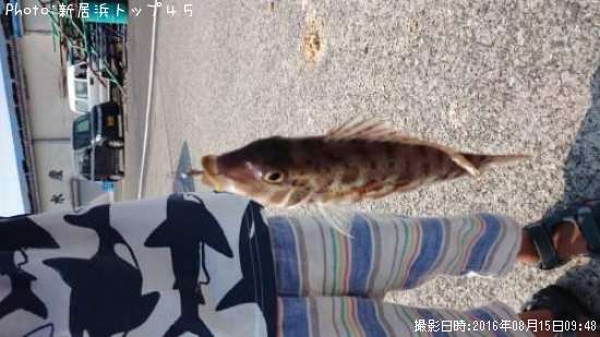 �ե��ե�����