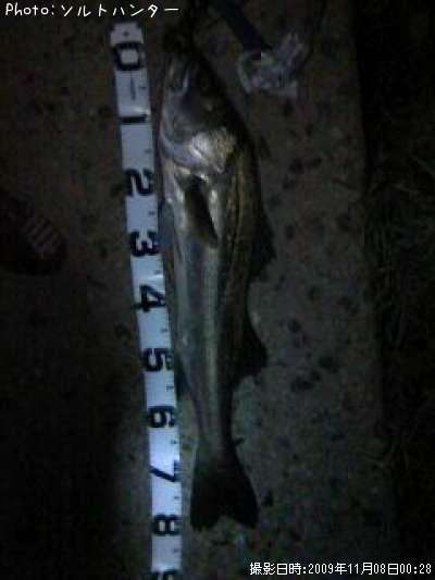 �����Х�