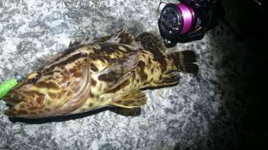 �����Υ���Х�