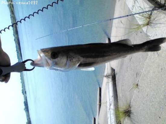 �����Х�