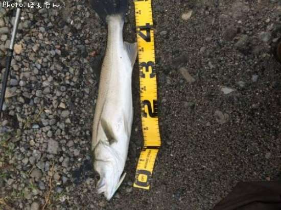 �����Х�