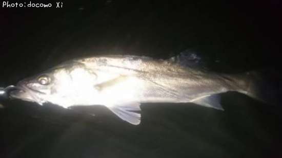 �����Х�