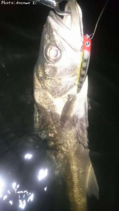 �����Х�