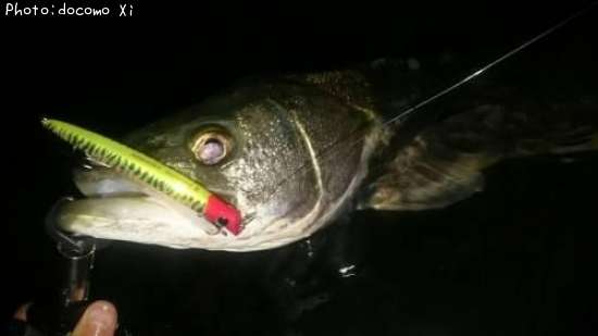 �����Х�