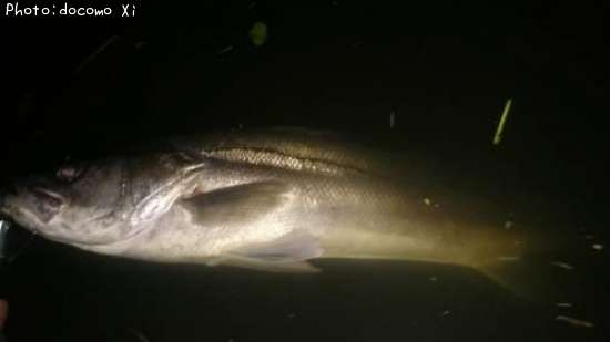 �����Х�