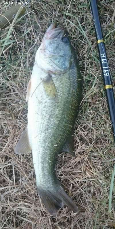 �֥�å��Х�