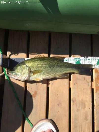 �֥�å��Х�