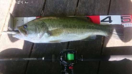 �֥�å��Х�