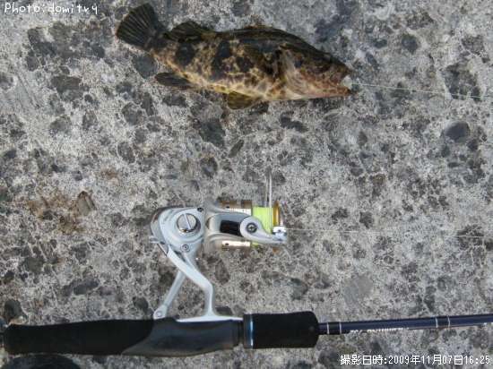 �����Υ���Х�