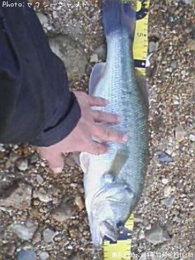 �֥�å��Х�