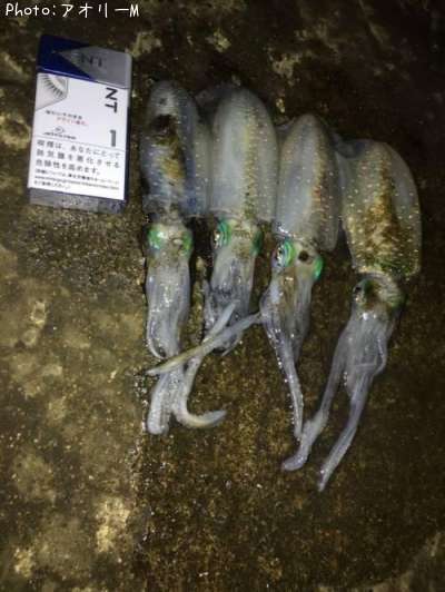 �����ꥤ��