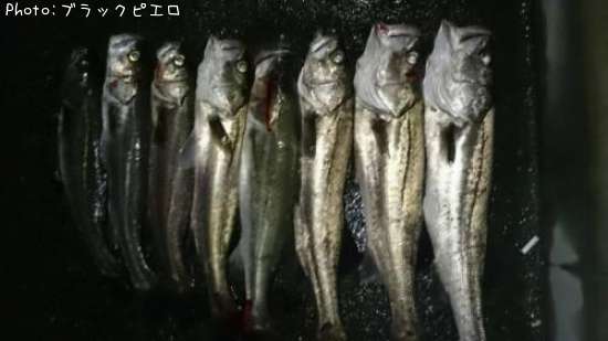 �����Х�