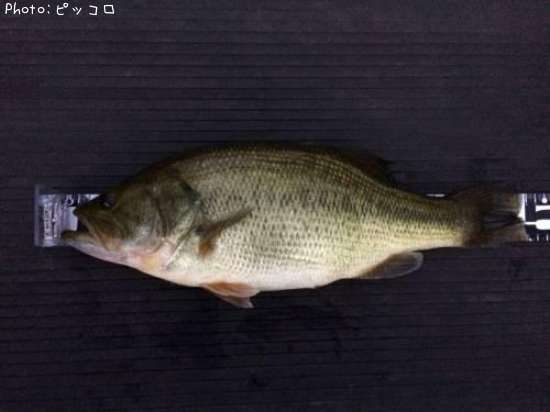 �֥�å��Х�