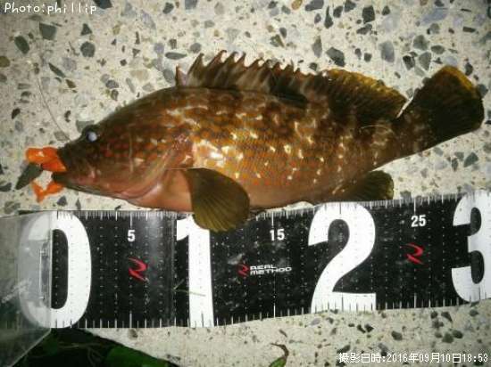 �����ϥ�