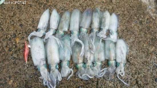 �����ꥤ��