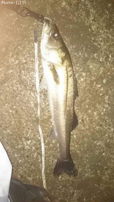 �����Х�