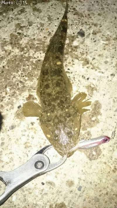 �ޥ����������Х�