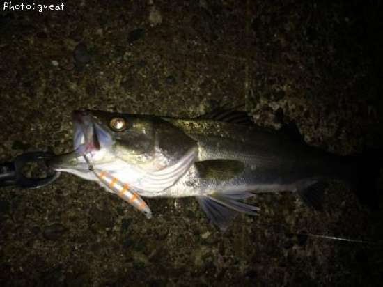 �����Х�