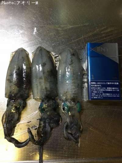 �����ꥤ��