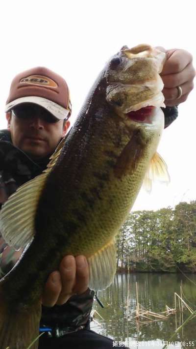 �֥�å��Х�