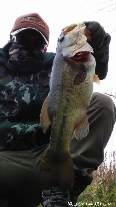 �֥�å��Х�