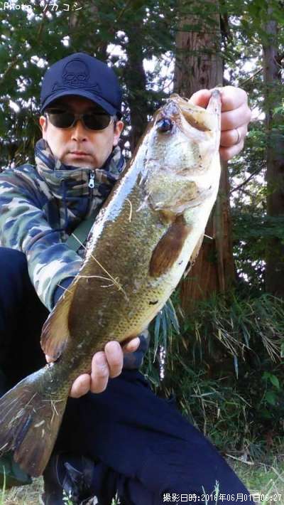 �֥�å��Х�