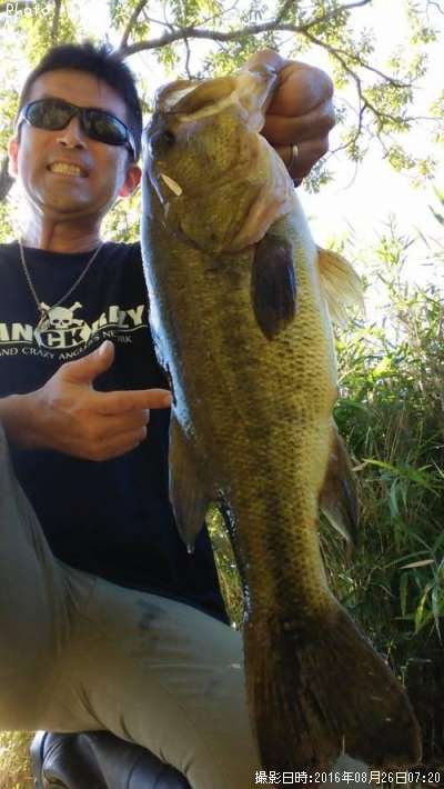 �֥�å��Х�