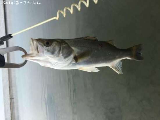 �����Х�